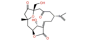 Sinulochmodin B